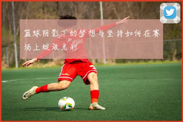 篮球阴影下的梦想与坚持如何在赛场上绽放光彩