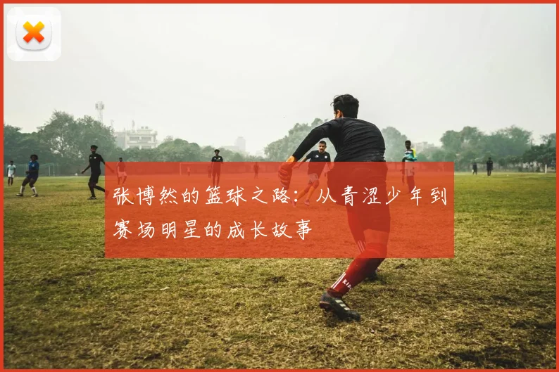 张博然的篮球之路：从青涩少年到赛场明星的成长故事