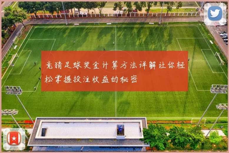 竞猜足球奖金计算方法详解让你轻松掌握投注收益的秘密